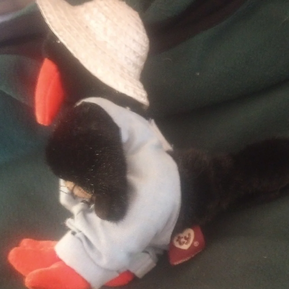 TY Retired Cawley The Crow Plush